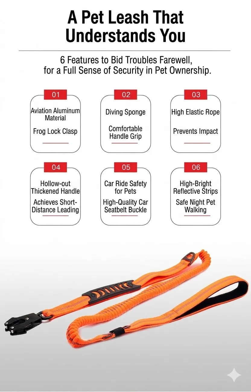 Shock Absorbing Dog Car Leash Bulk factory